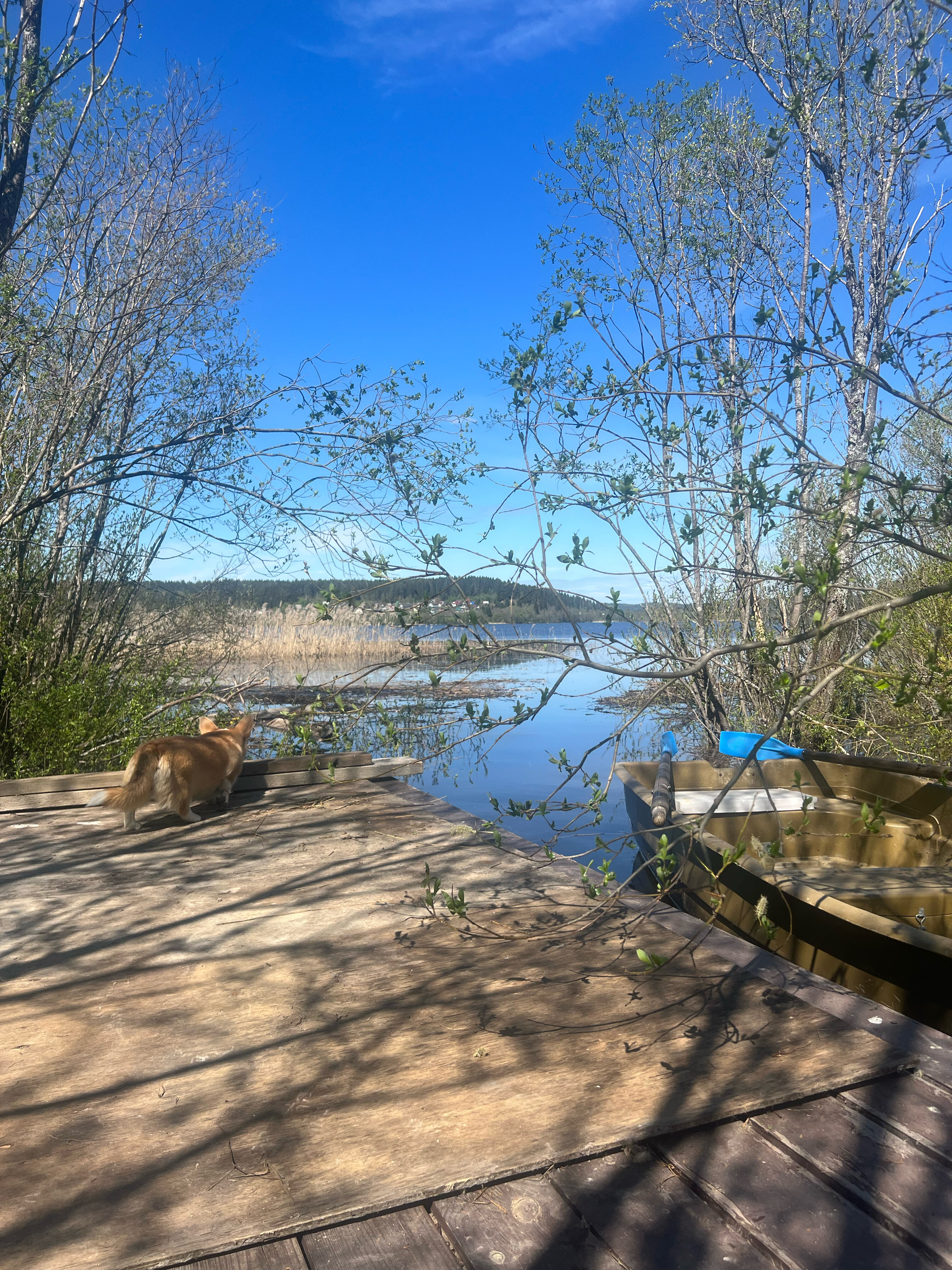 Фото Сонный залив