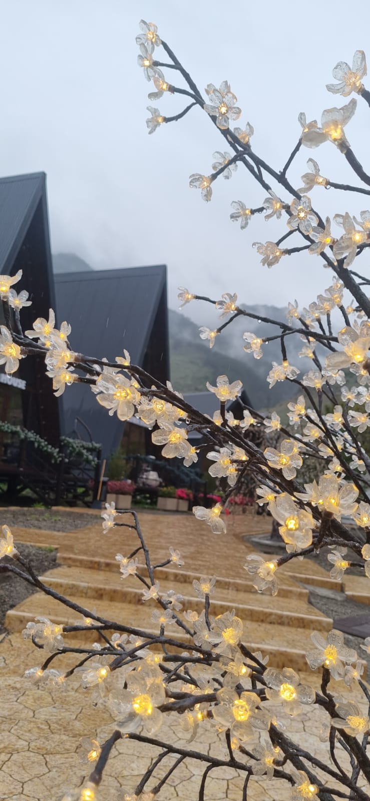 Фото Бордо Хаус