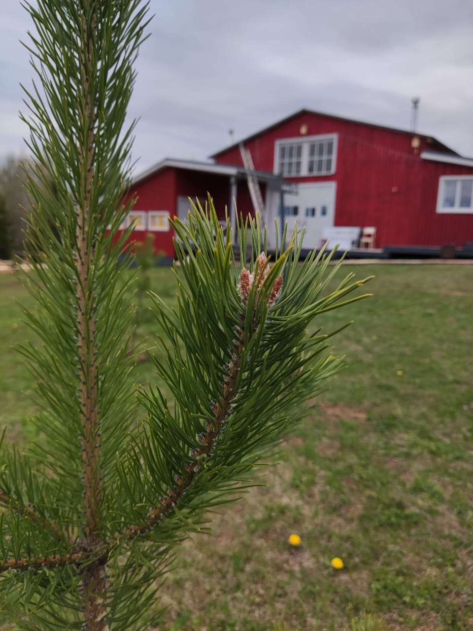 Фото Еремичи