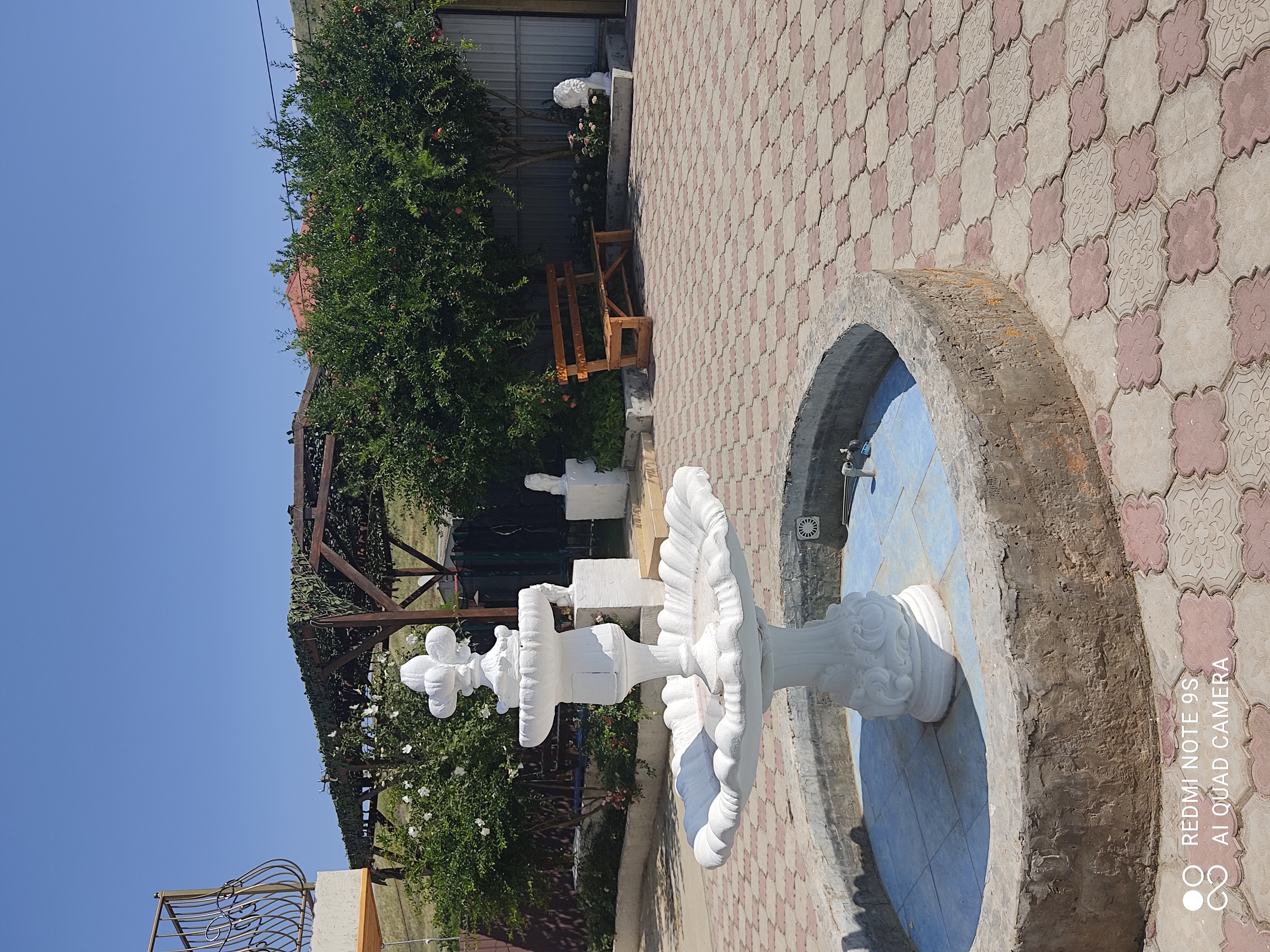 Фото Аврора