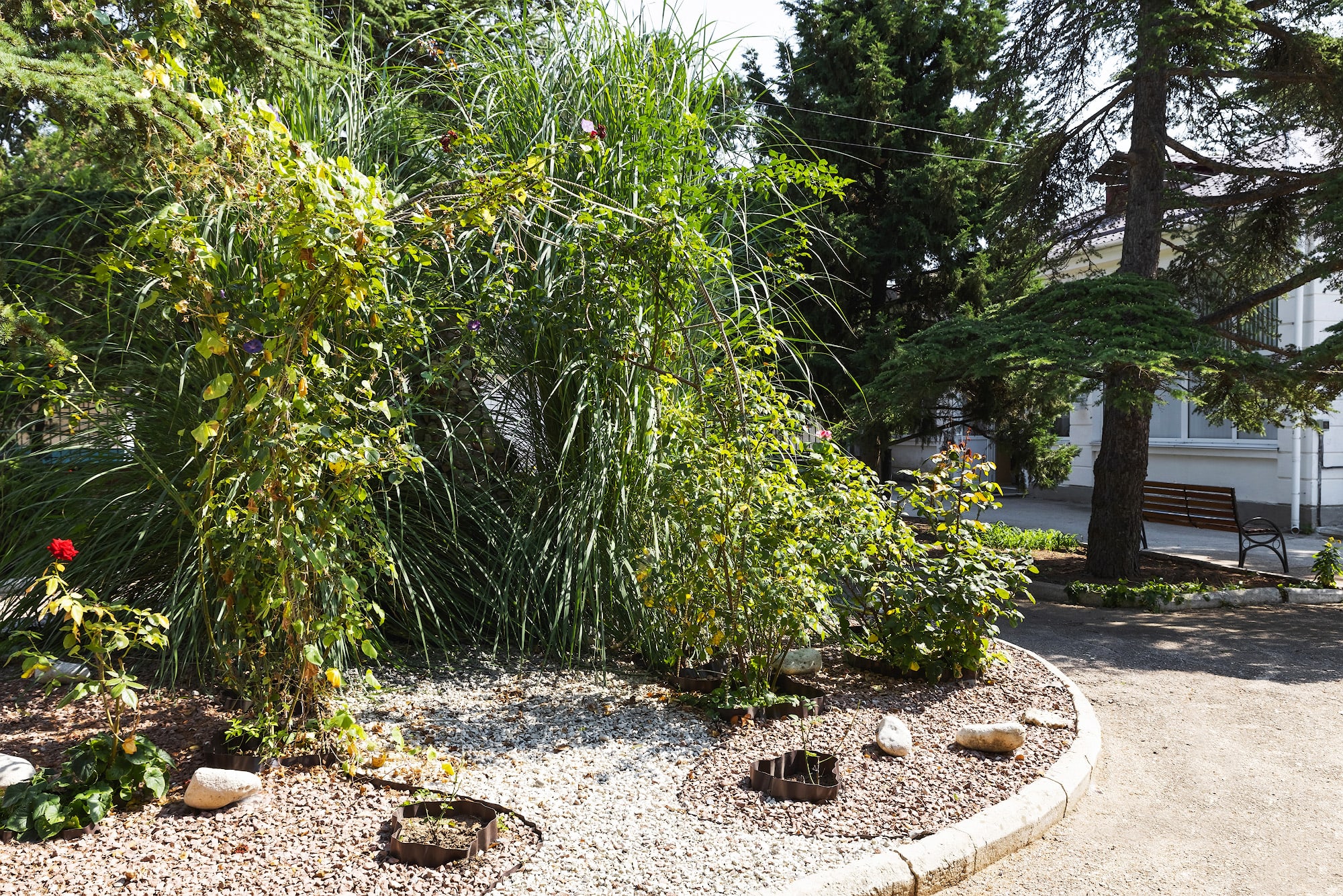 Фото Прибой