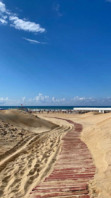 Фото Южный парус