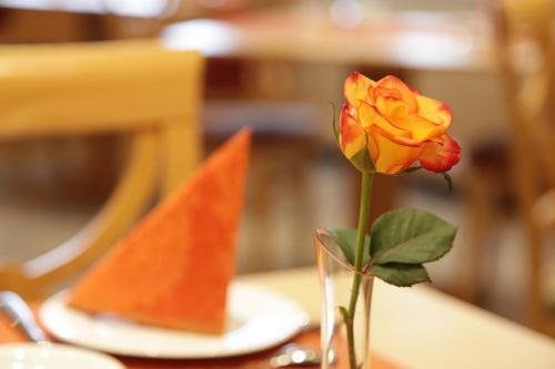 Фото City Hotel garni Neu-Ulm