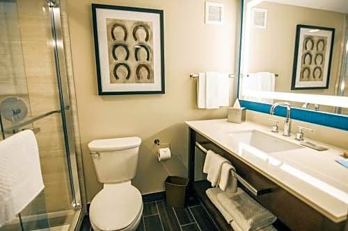 Фото DoubleTree by Hilton Lubbock University Area