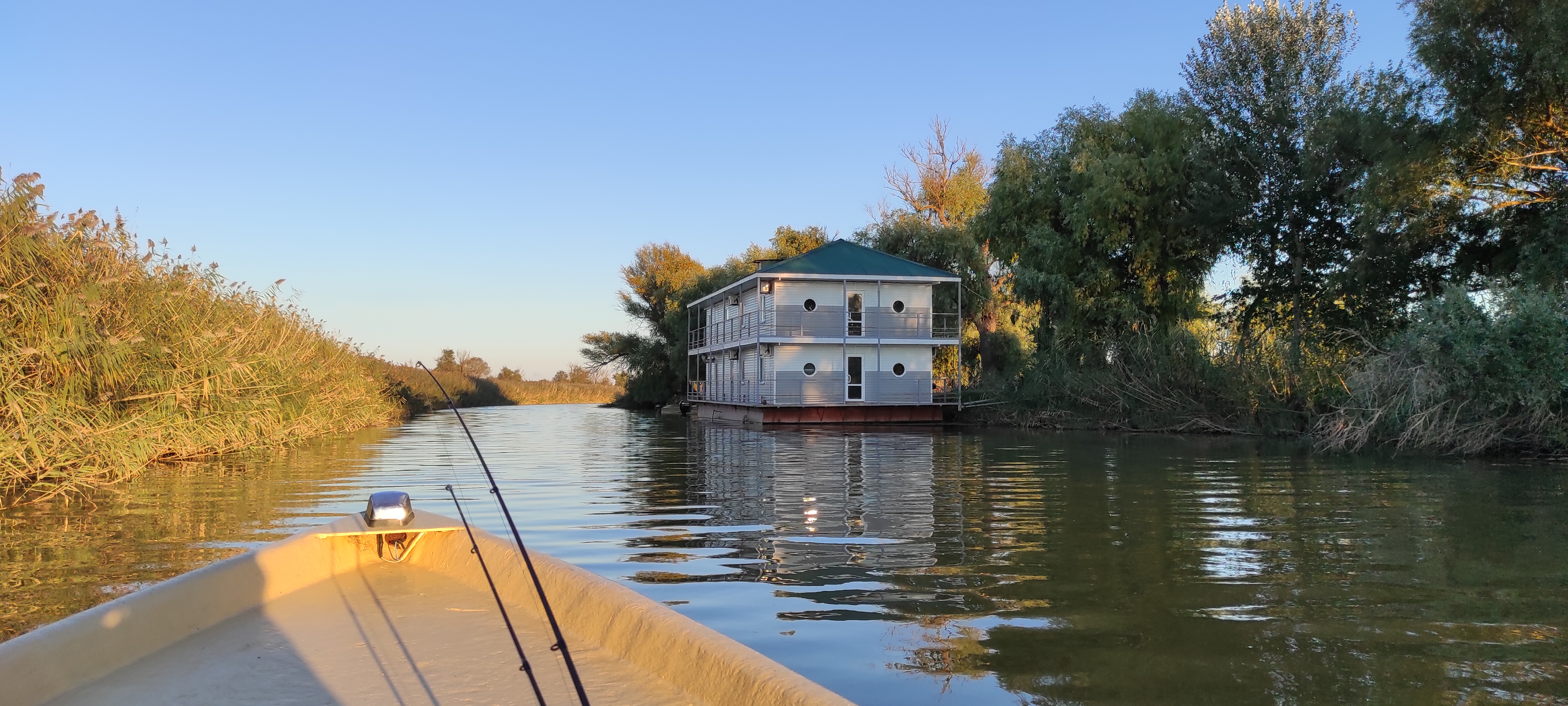 Фото Пиранья Дельта