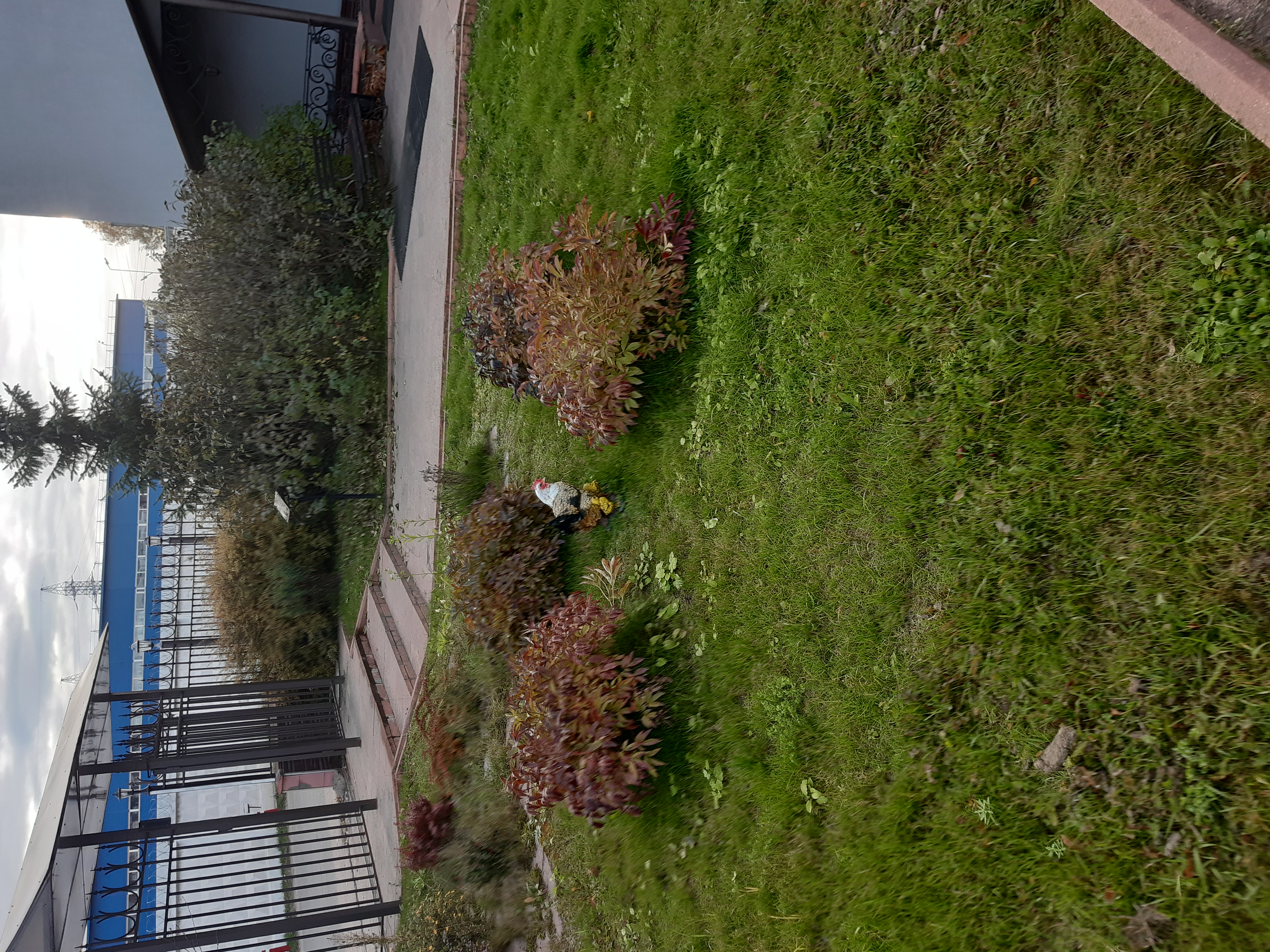 Фото Отель На Заречной