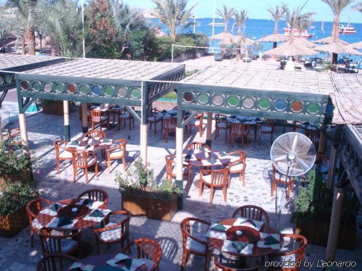 Фото Alice Vitoria by Nobile