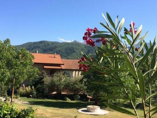 Гостиница Agriturismo Tripala
