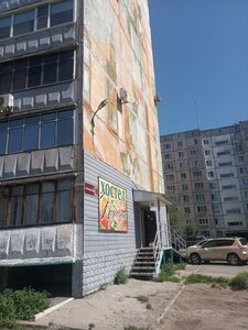 Подсолнух