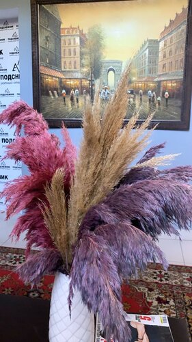 Внешний вид отеля Подснежник в Аршане, фото 3