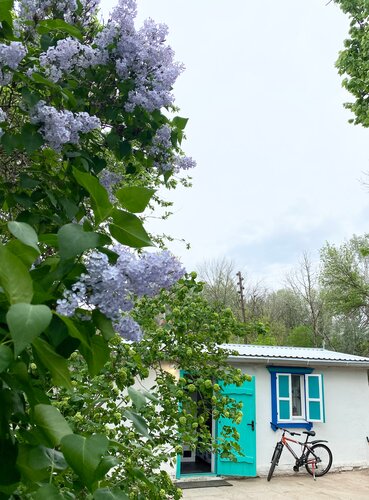 Дом в аренду Домик в Лотосах в Астраханской области