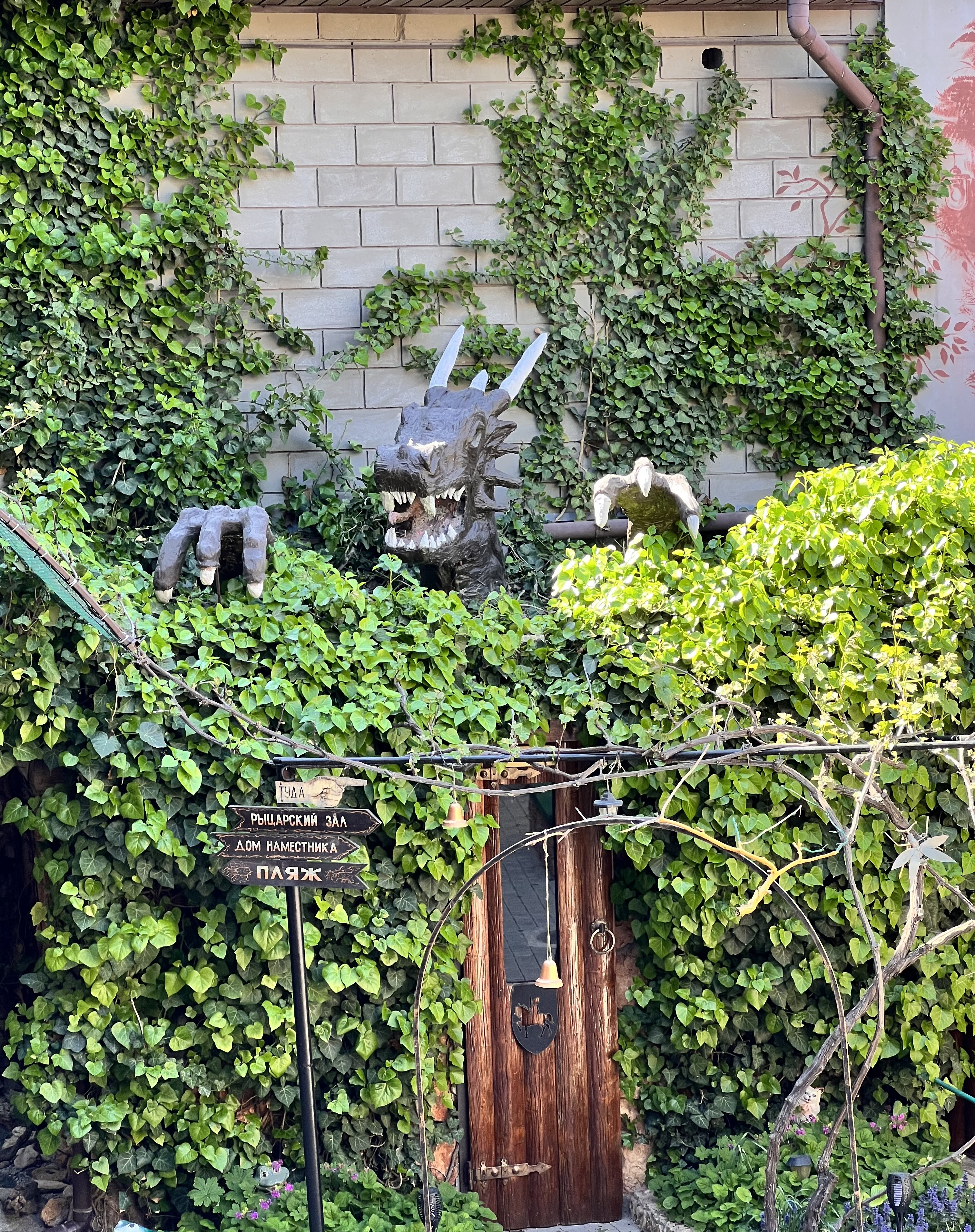 Фото Дом Дракона