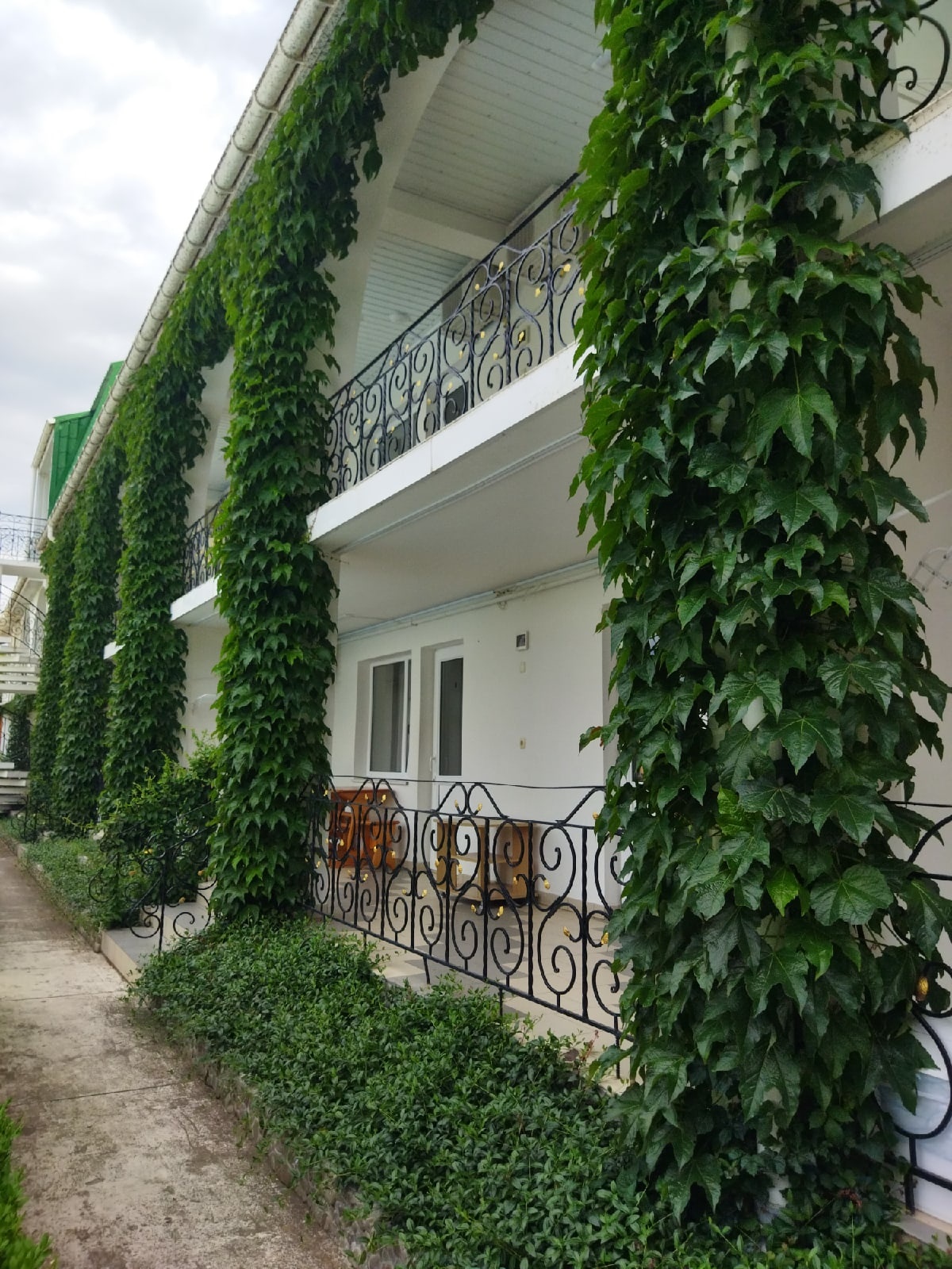 Фото Парадиз