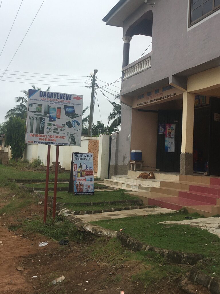 Non-alcoholic beverages Psalms sonss and daughters store, Earth, photo