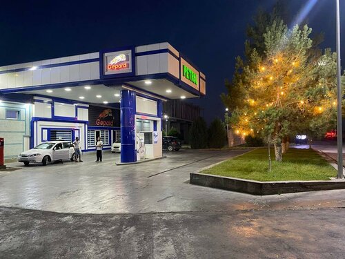 Gas station Gepard, Tashkent Province, photo