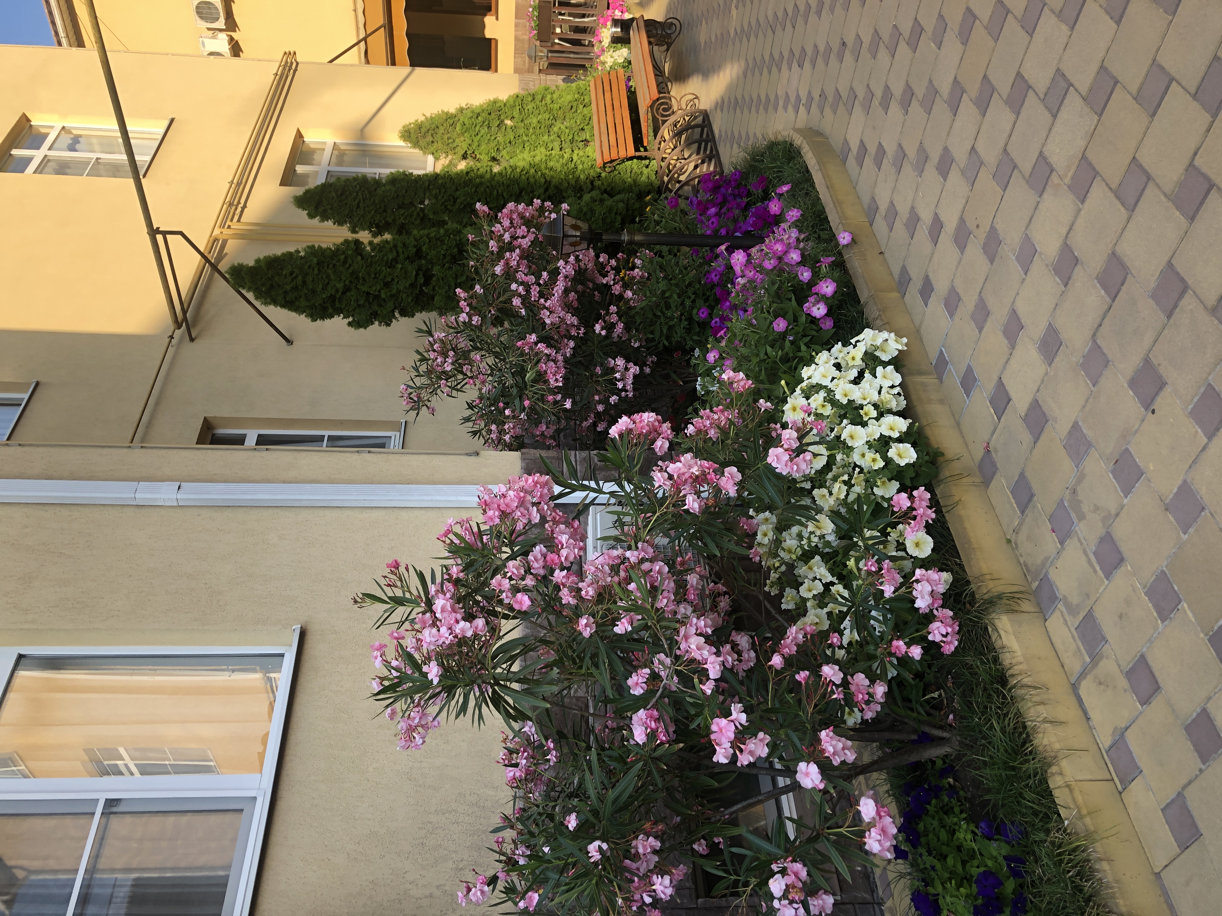 Фото Грин Хоста