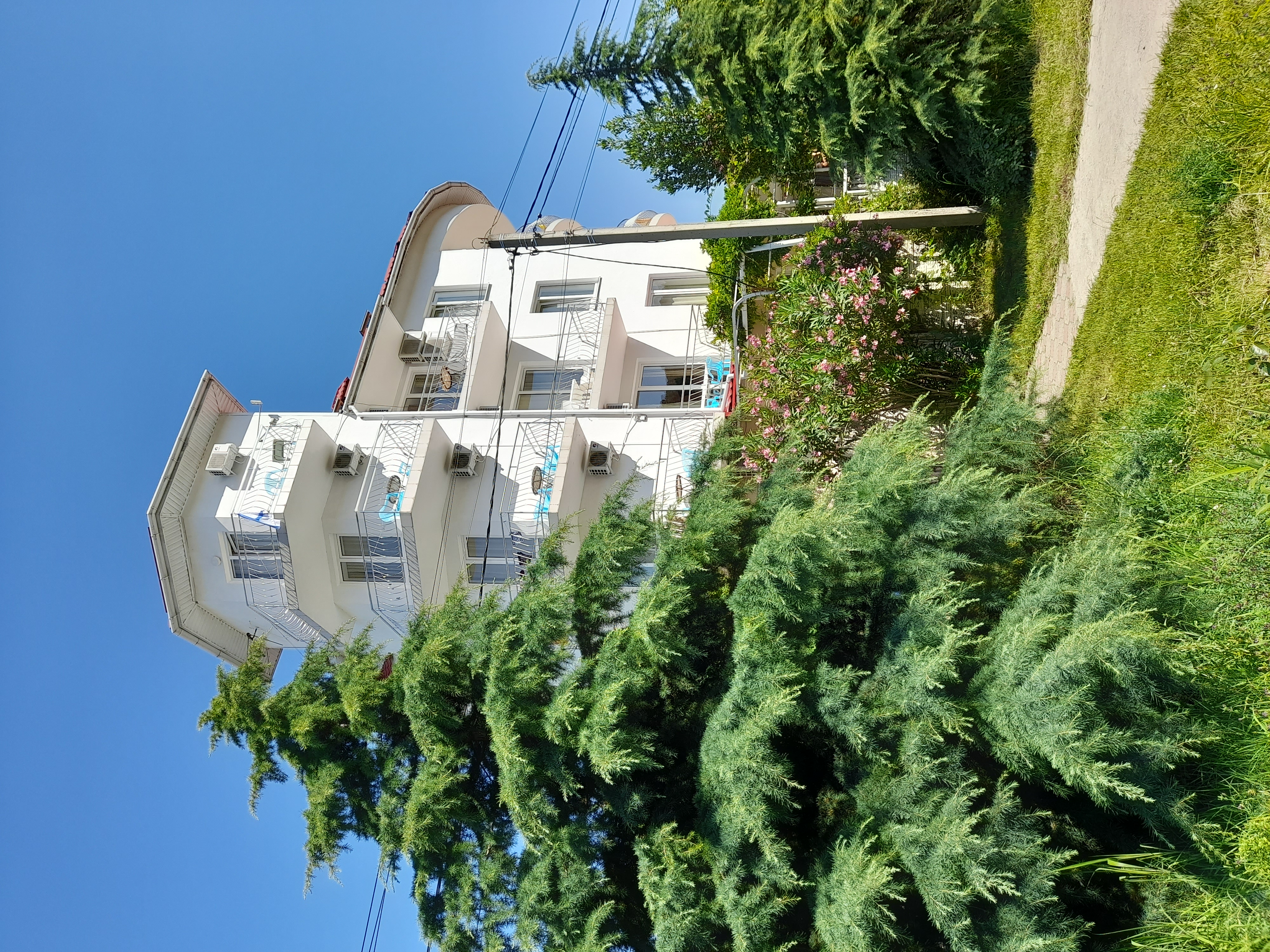 Фото Скарлетт