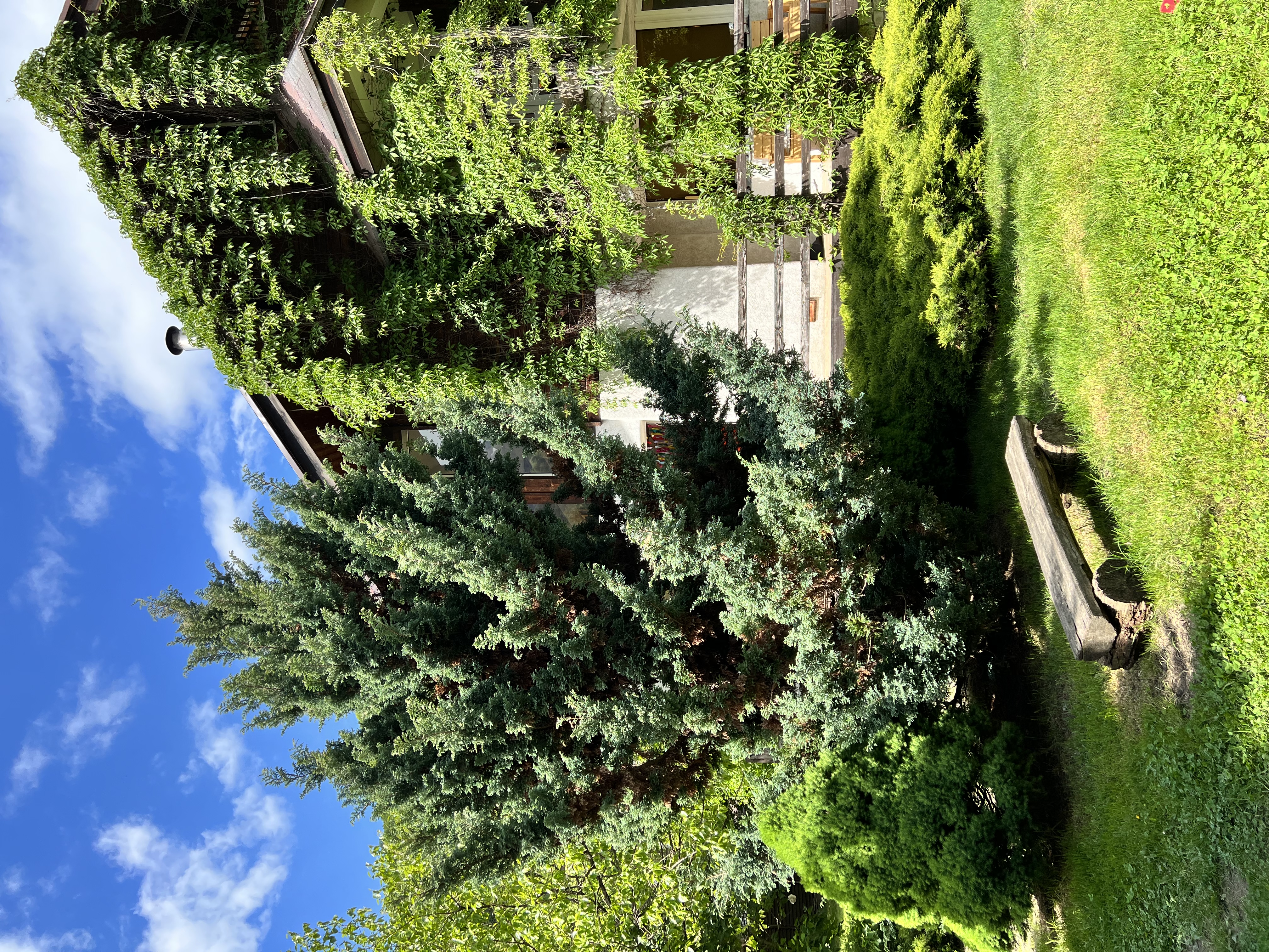 Фото Дом Тере