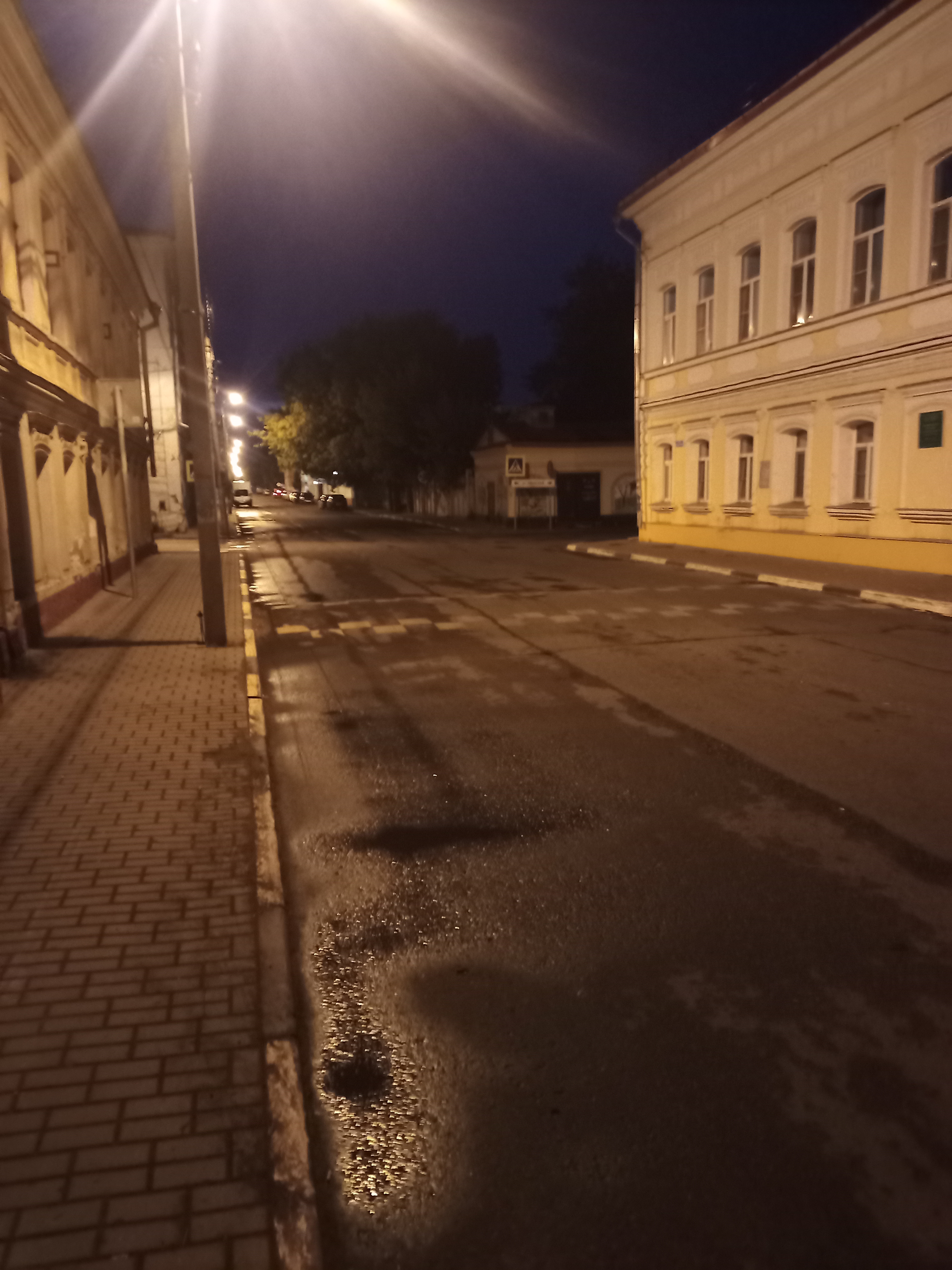 Фото Два гуся