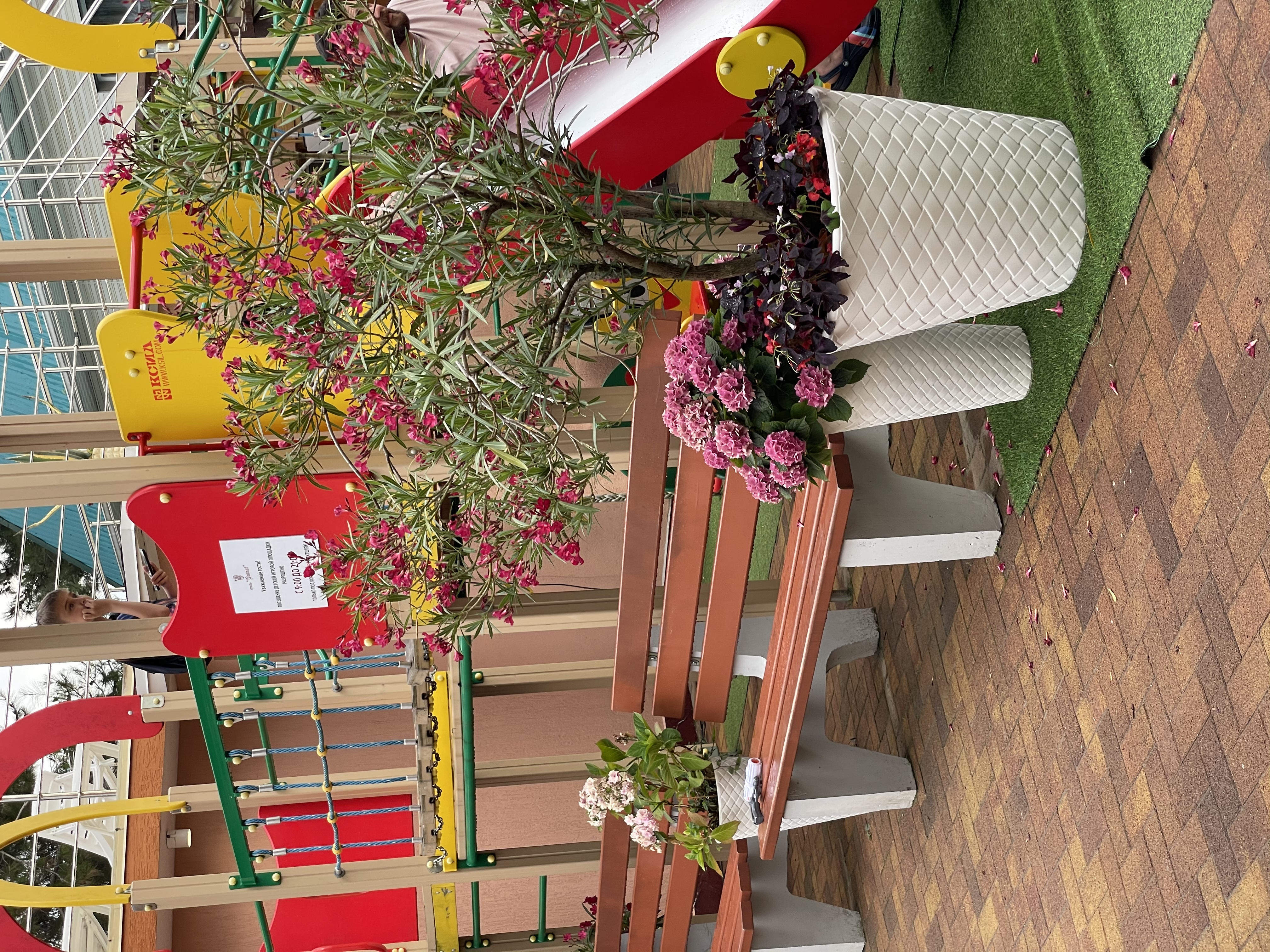 Фото Гранат