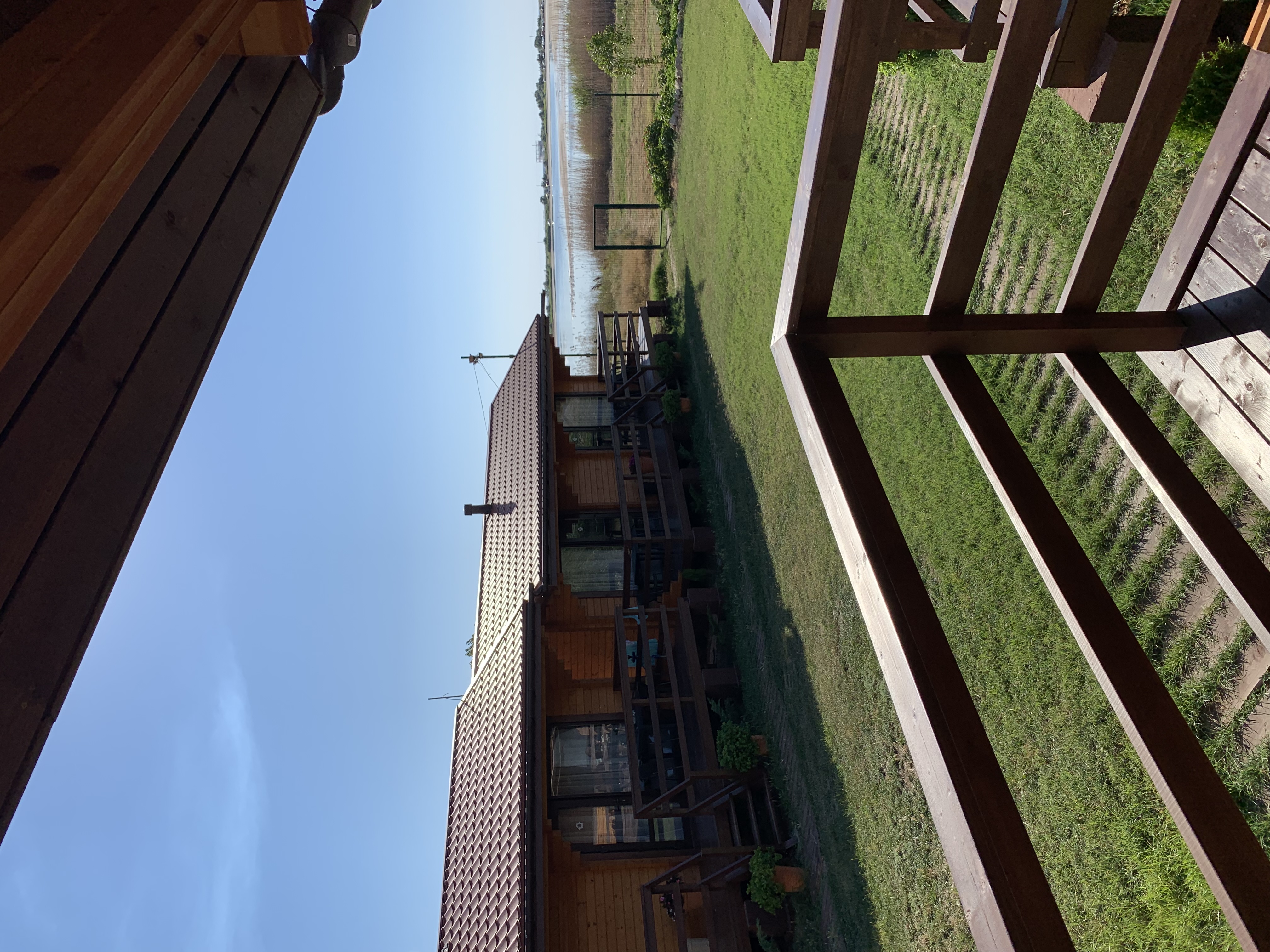 Фото Кактус