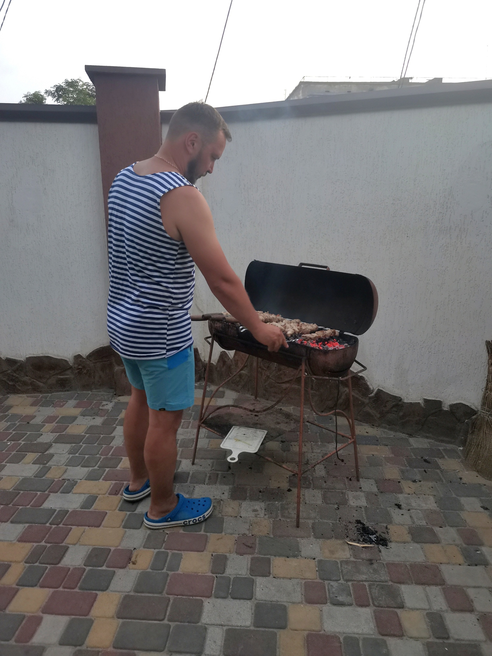 Фото Белый лебедь