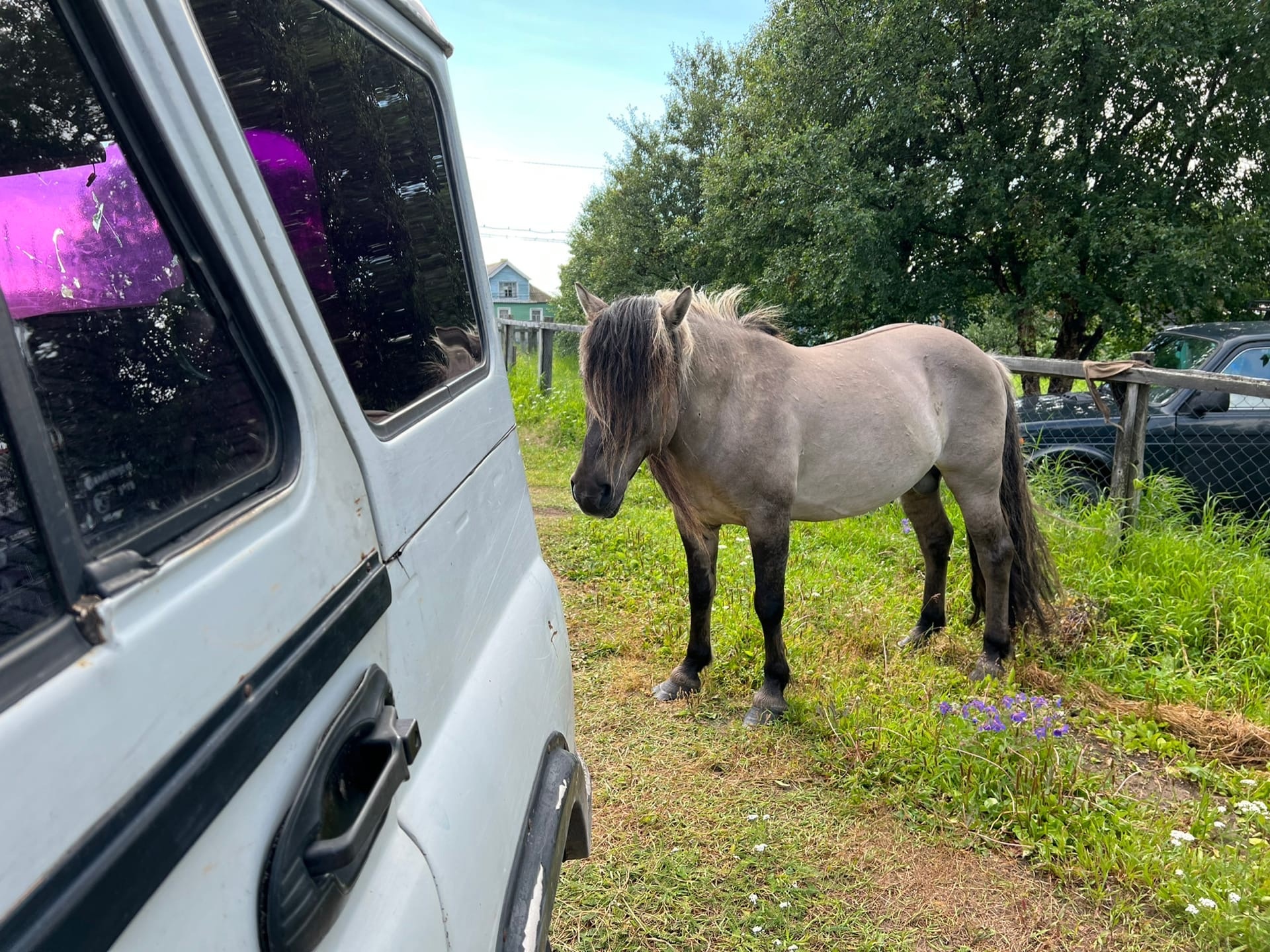 Фото Кузомень Тур