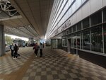 Аэрофлот Российские Авиалинии (Krasnoyarsk Territory, Yemelyanovskiy rayon, Krasnoyarsk Dmitry Hvorostovsky International Airport), airline