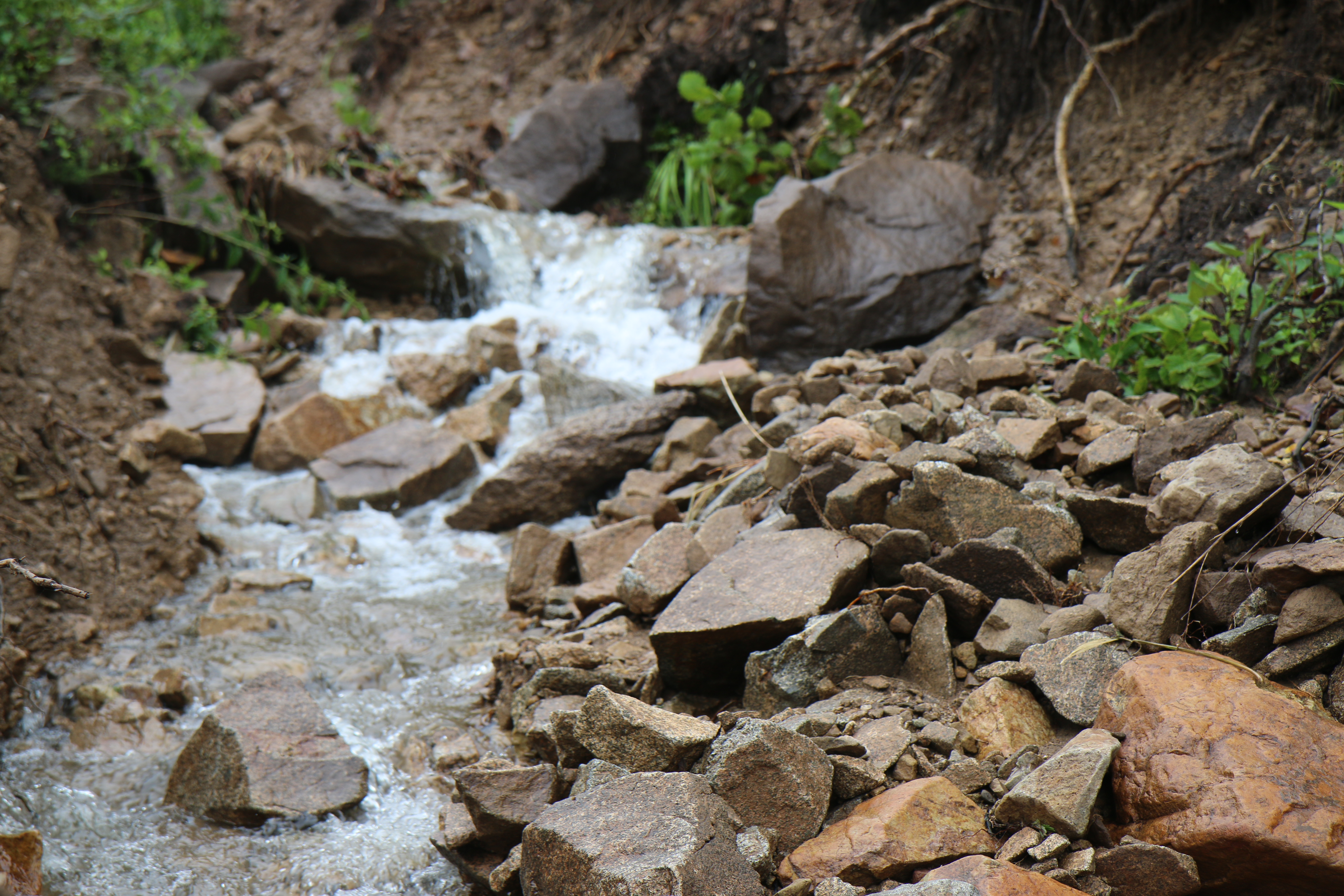 Фото Экопарк Бухта Астафьева