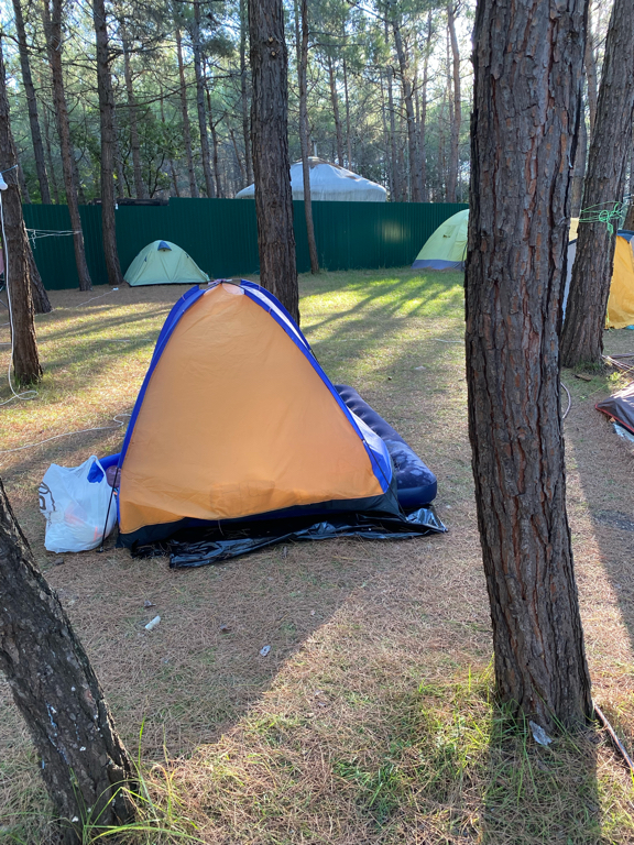 Фото Под соснами