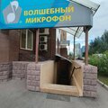 Волшебный микрофон