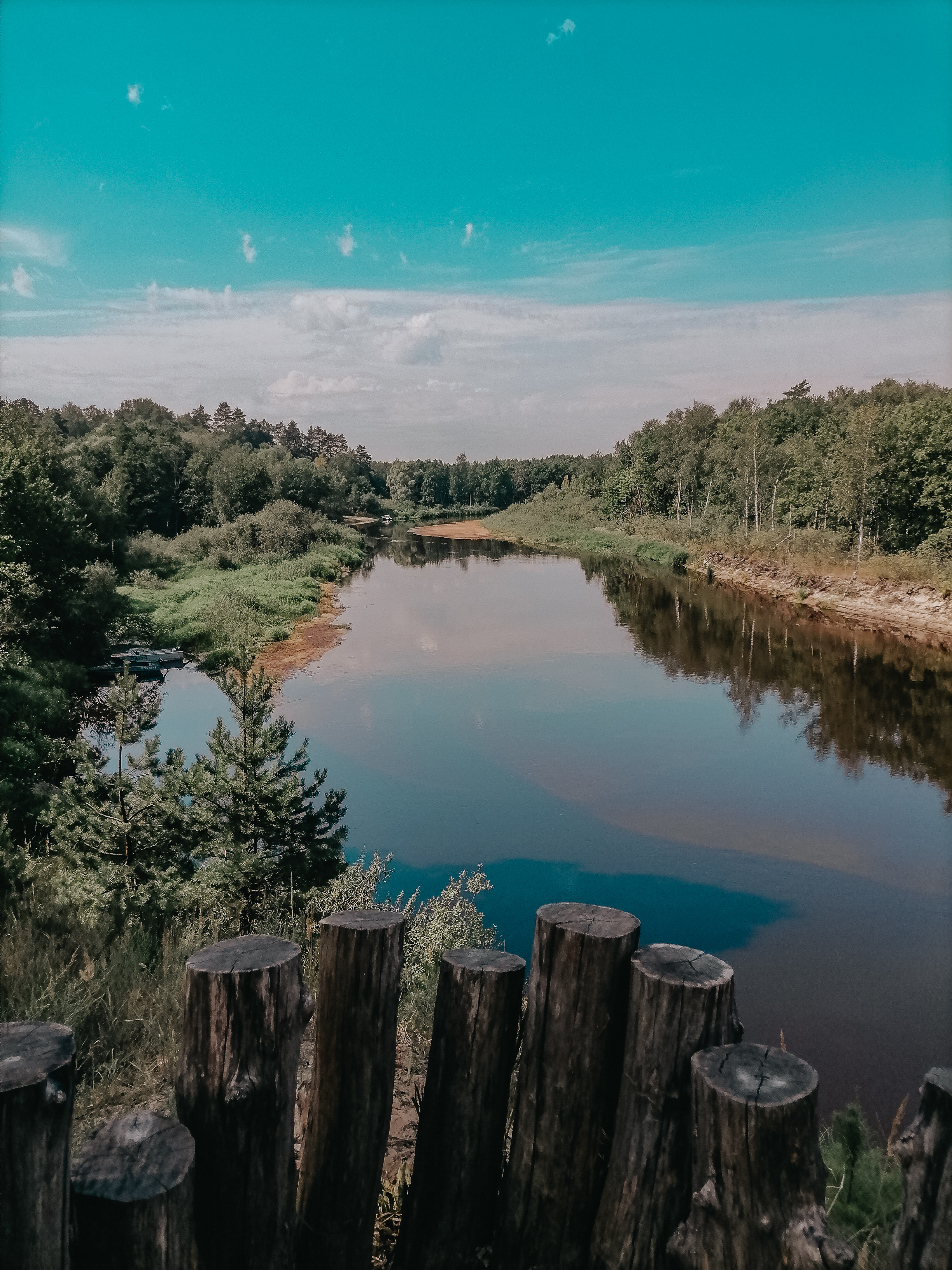 Фото В гостях у Лешего