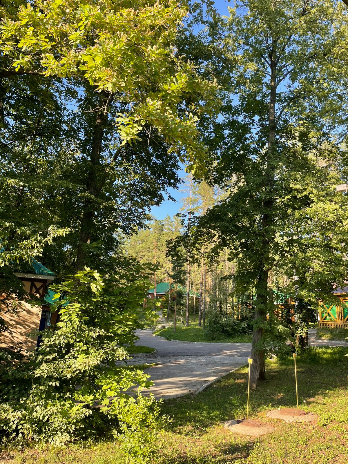 Фото Лесной