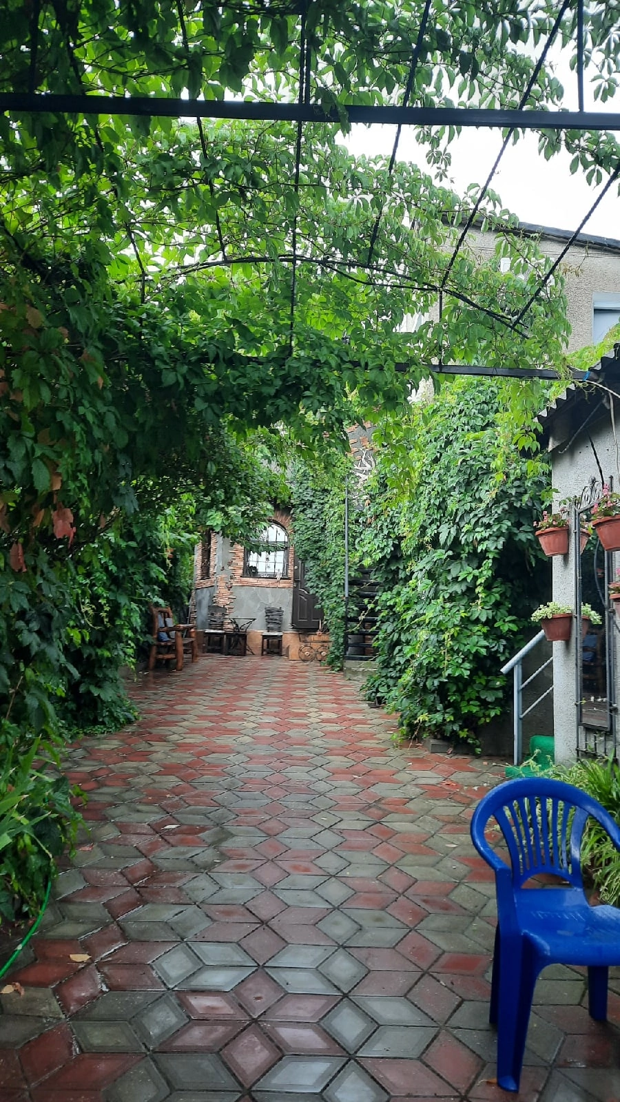 Фото Панорама