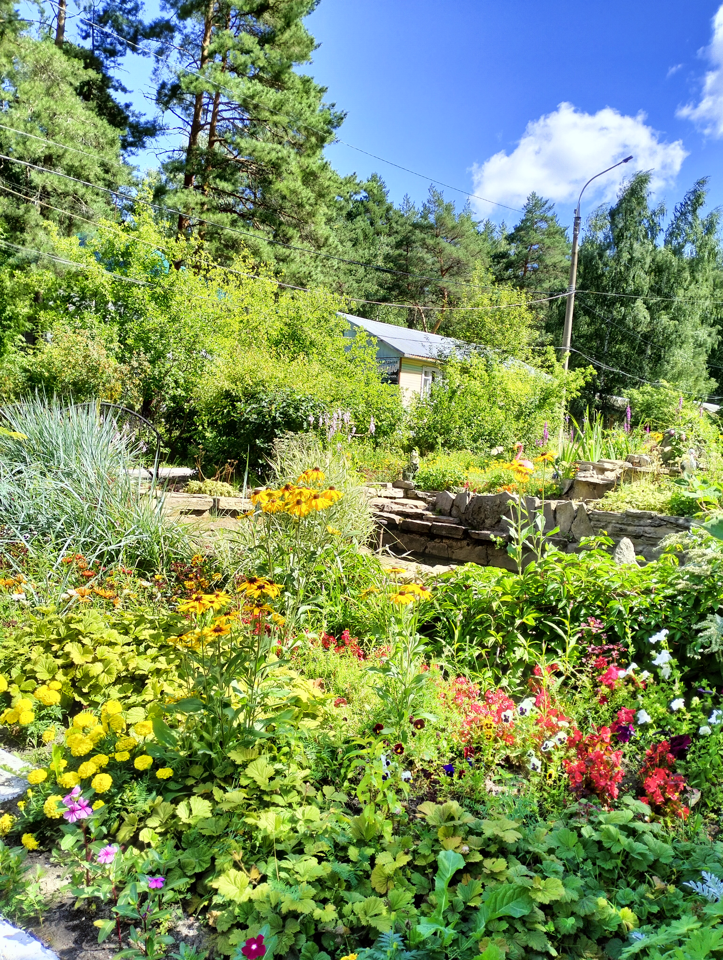 Фото База отдыха Яльчик