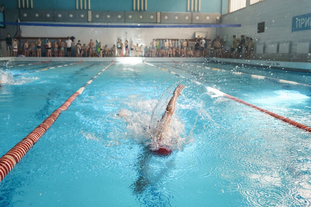 Swimming pool Kudryashov Pro Lab, Novokuznetsk, photo