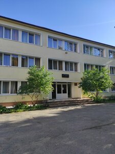 Чайка
