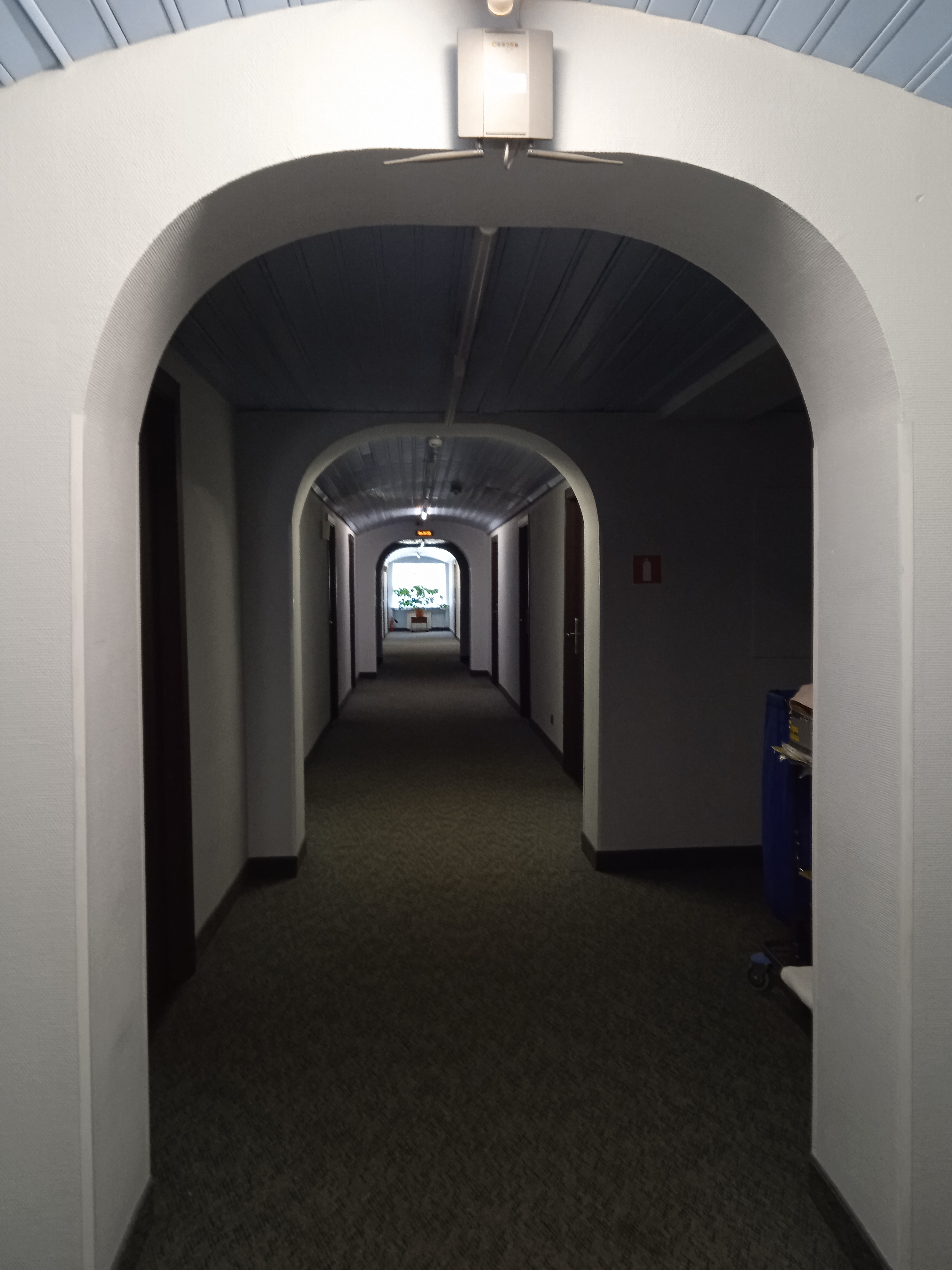 Фото Аннушка