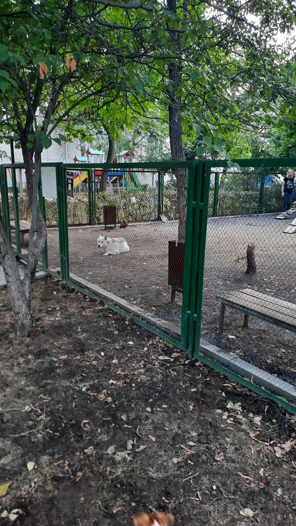 Dog park Dog park, Moscow, photo