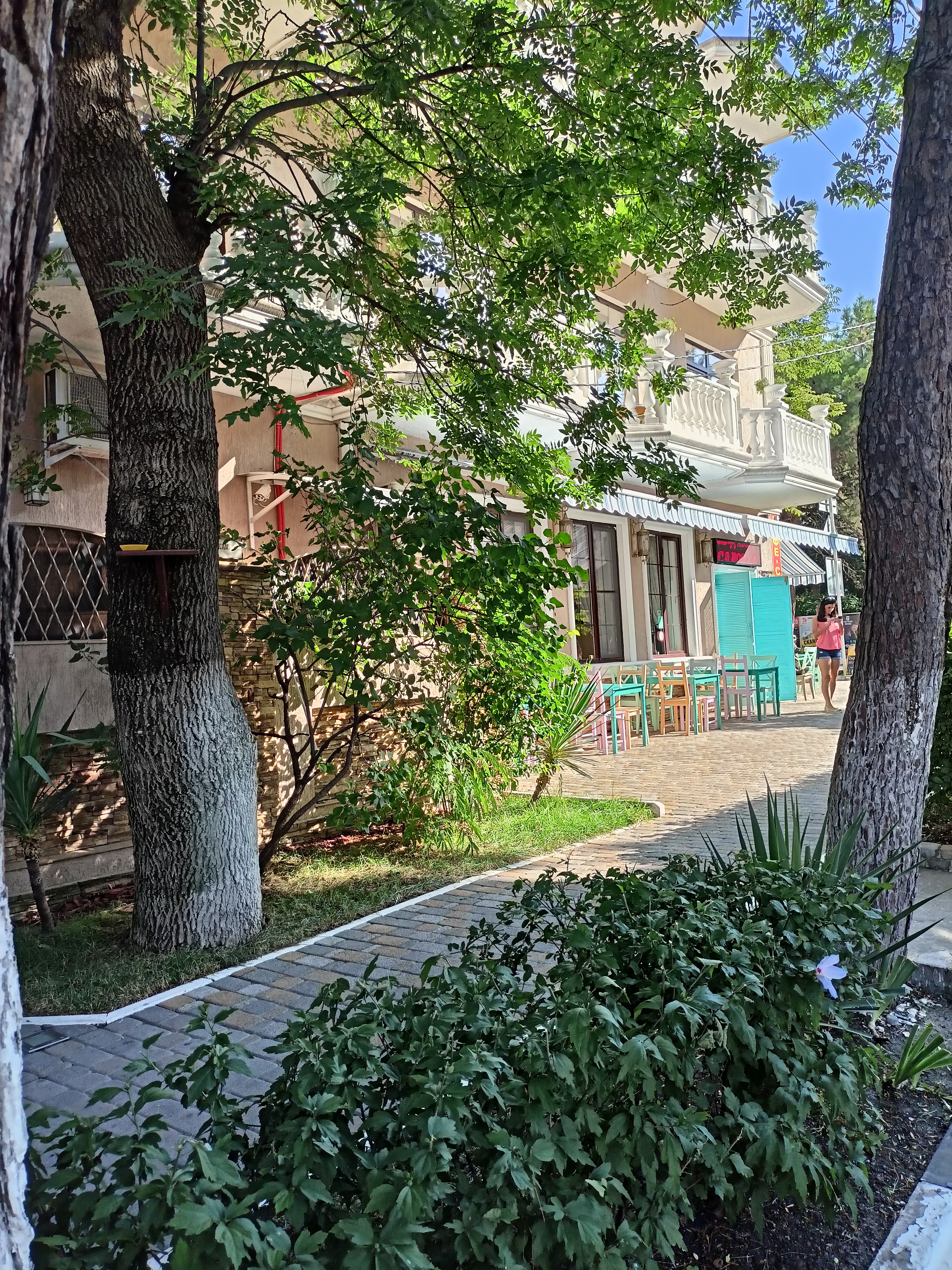 Фото Камелот