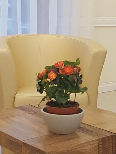 Фото Hotel Regina Margherita