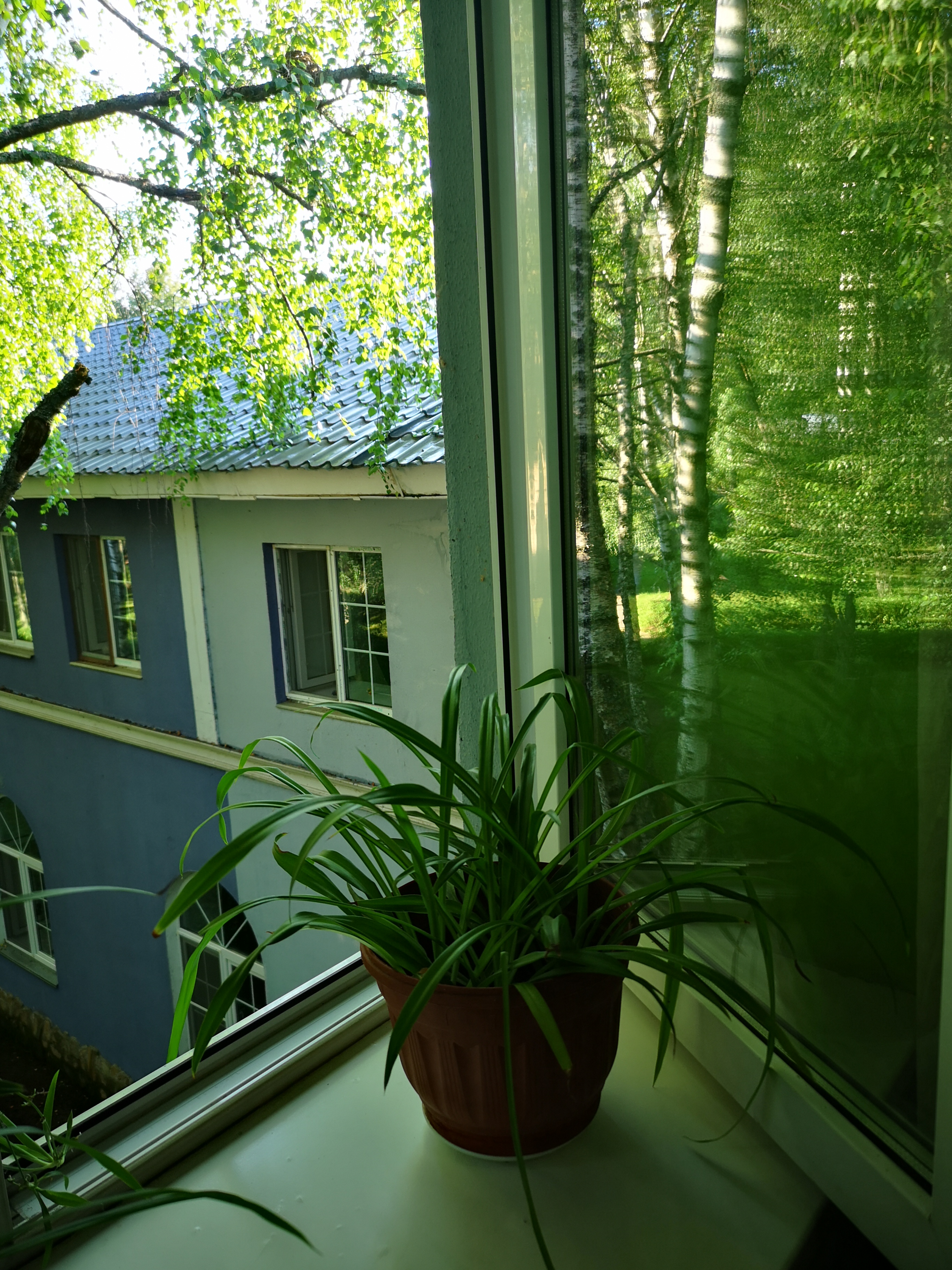 Фото Абрамцево