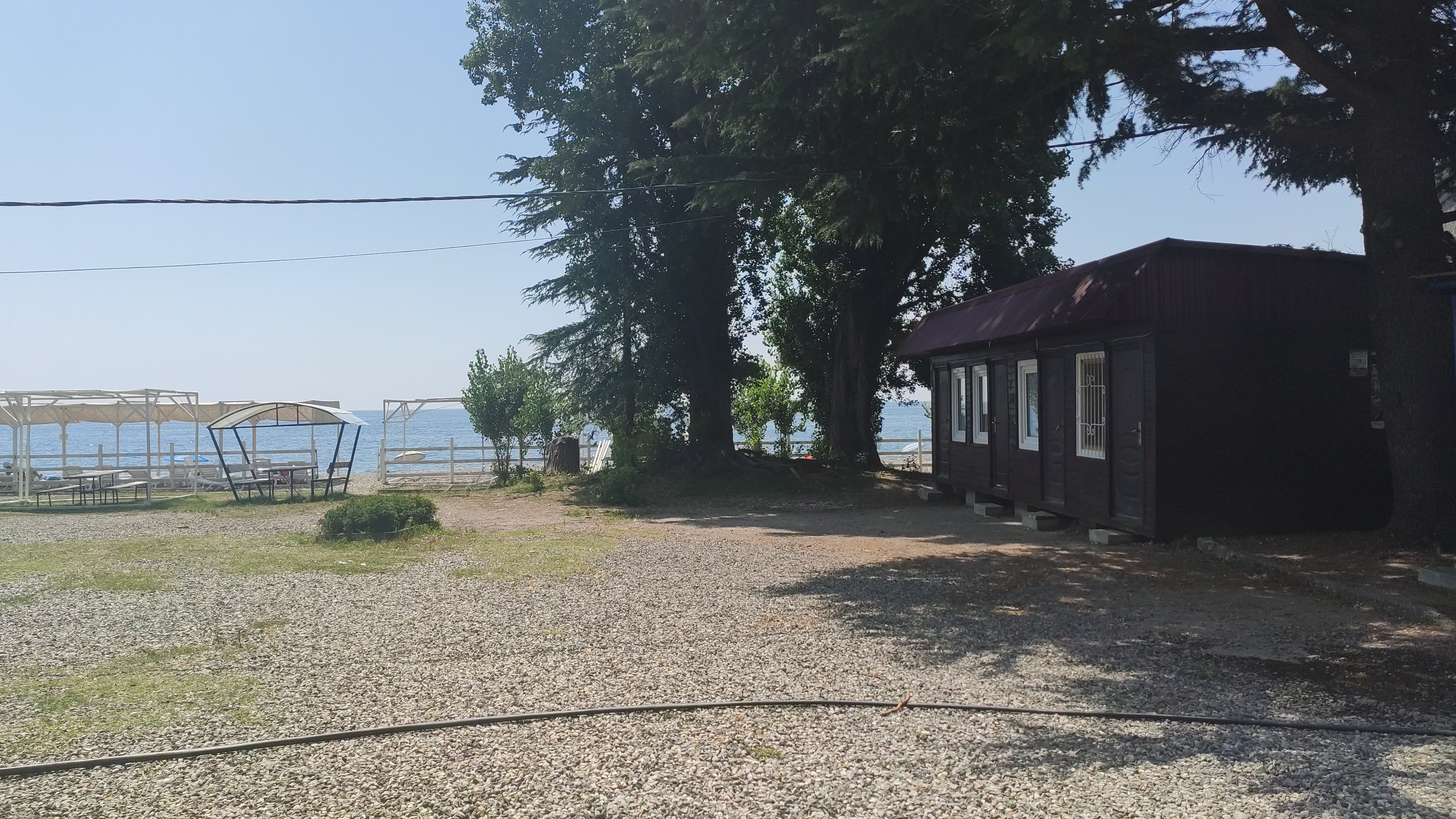 Фото Три Тополя