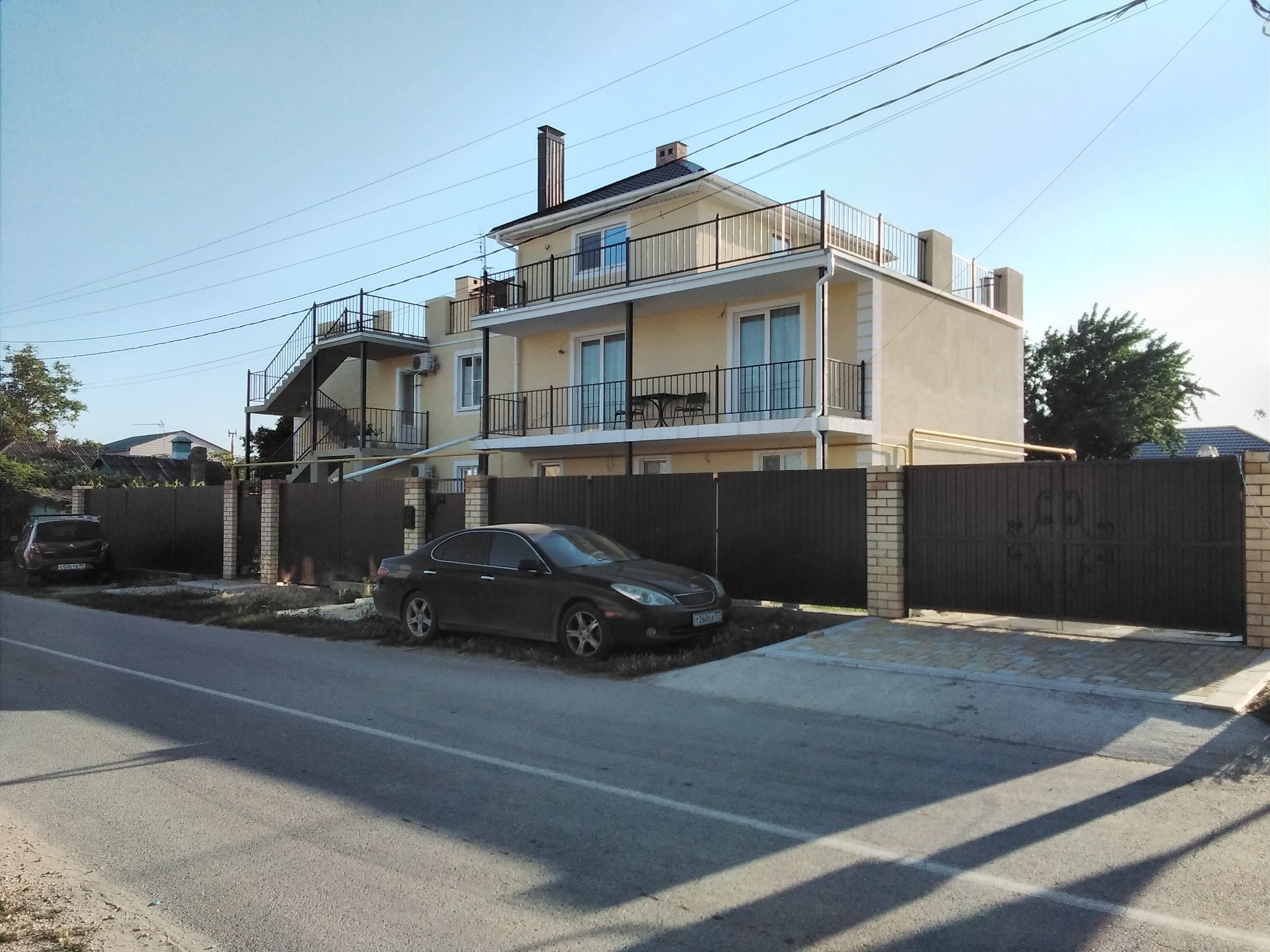 Фото Кипарис