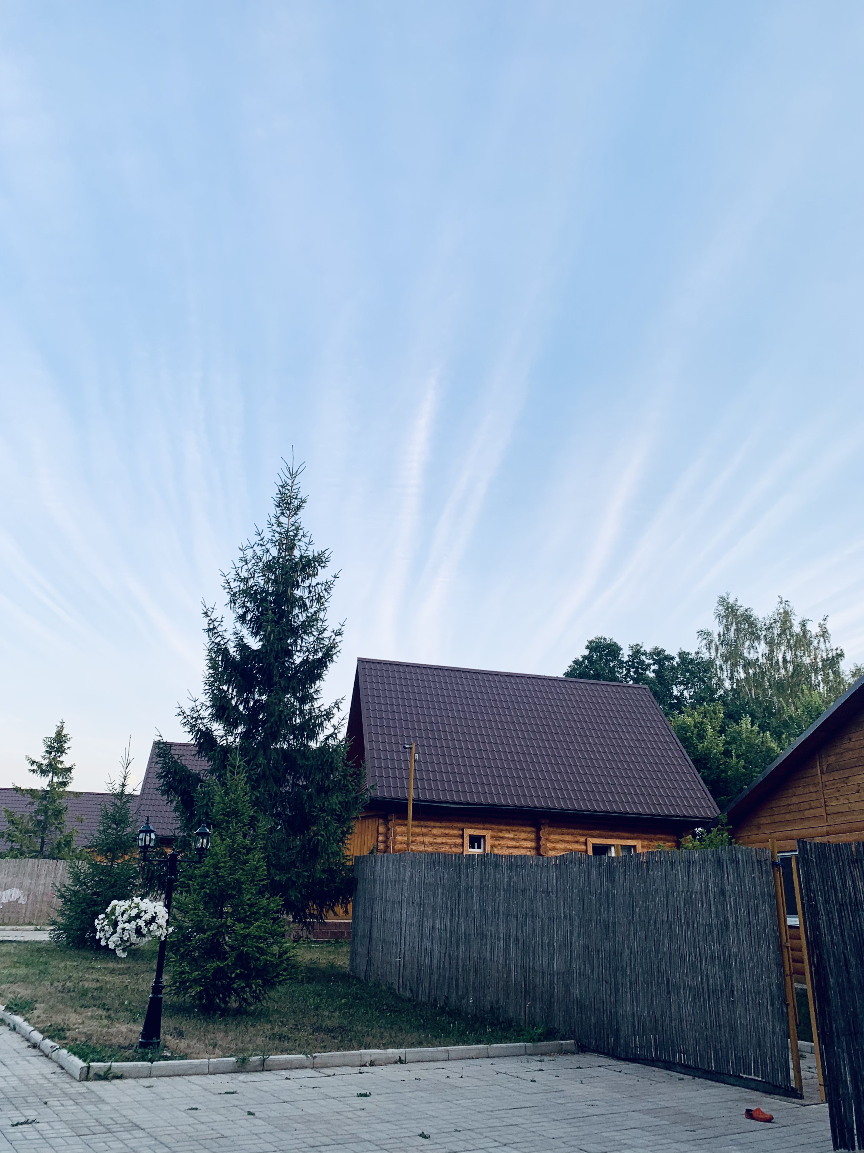 Фото Берлога