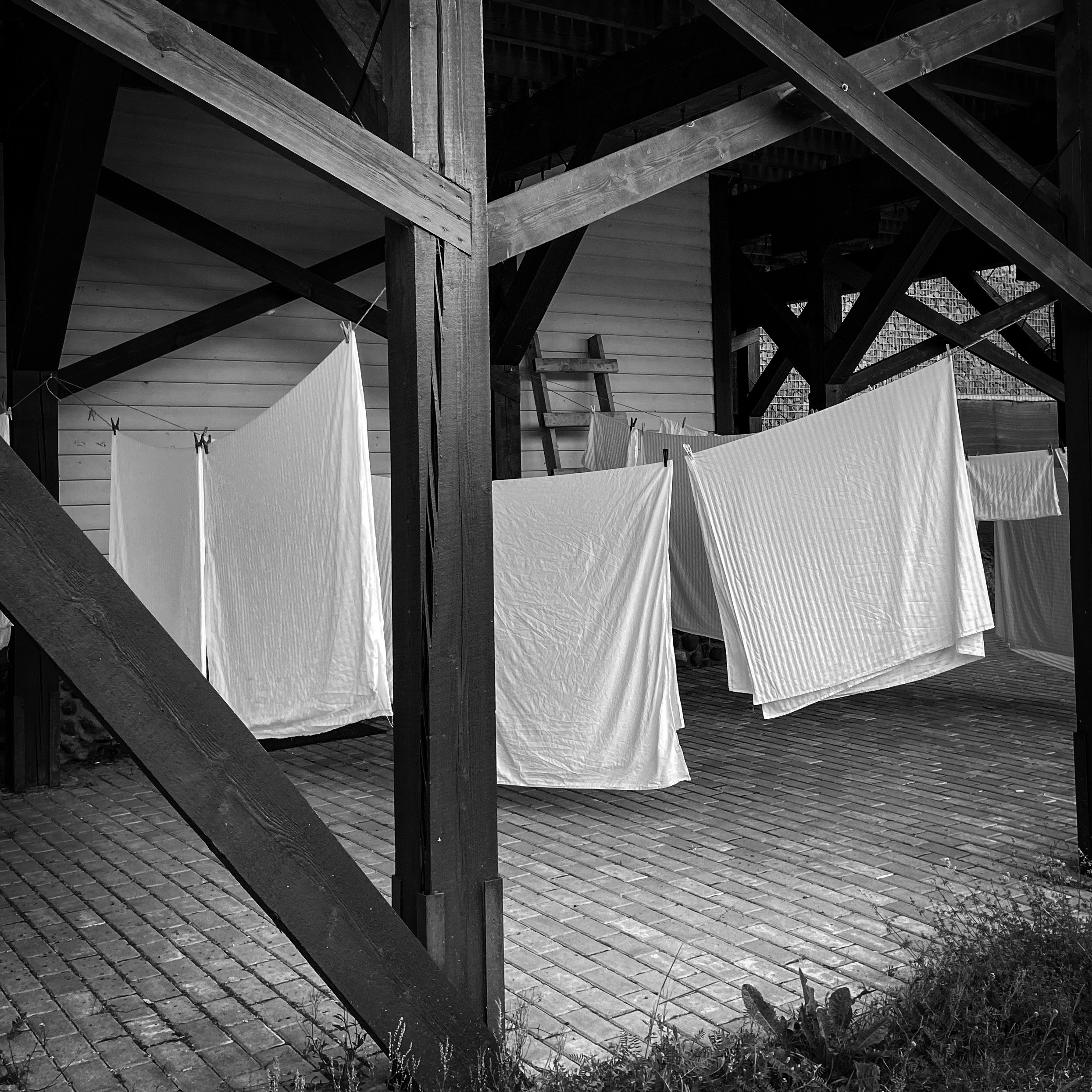 Фото Villa Vitele