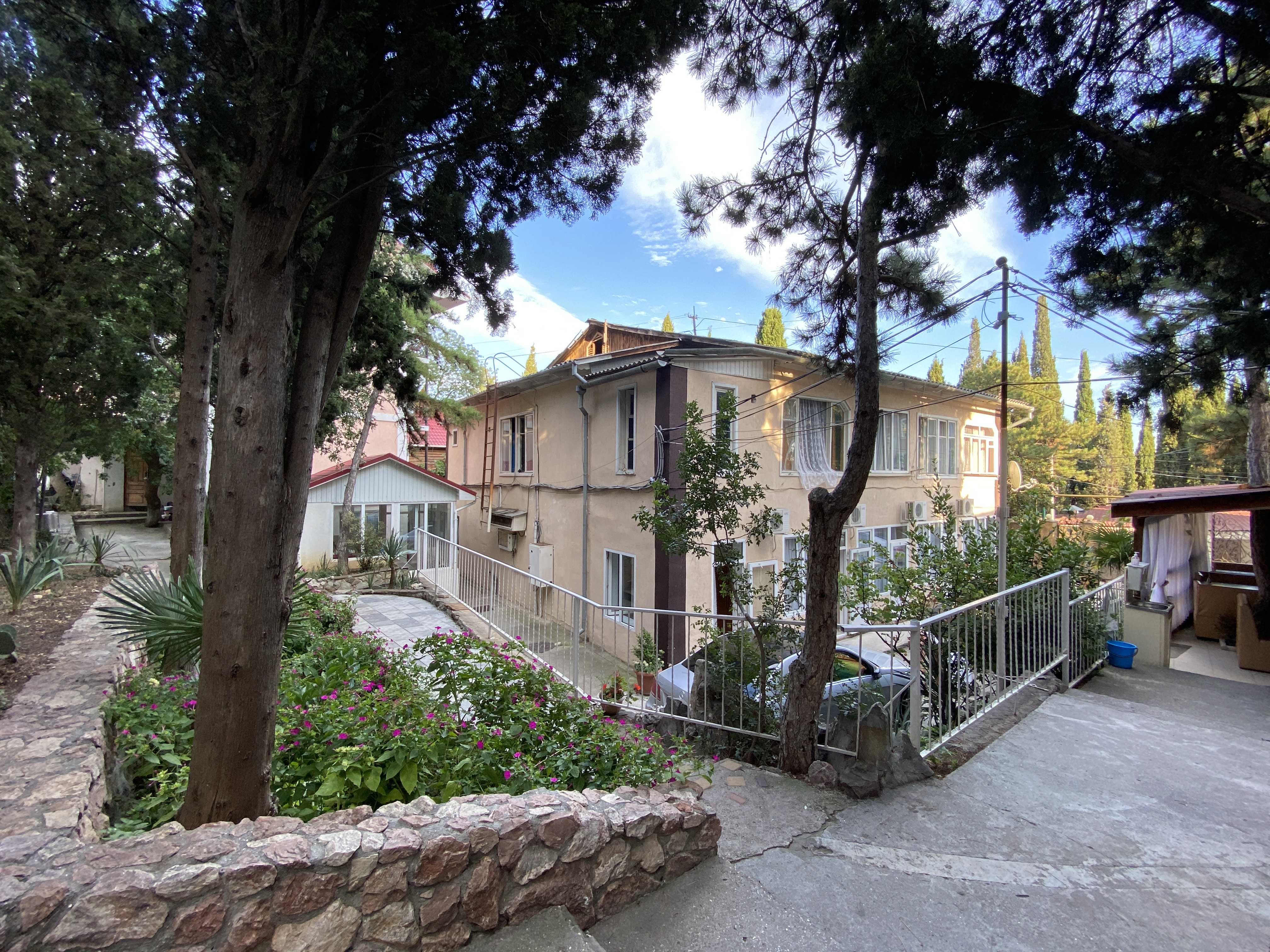 Фото Магнолия