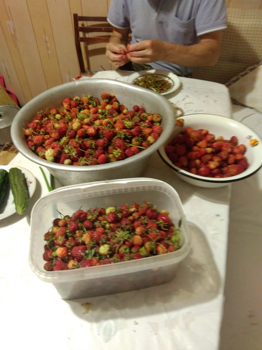 Фото В гостях у тёти Гали