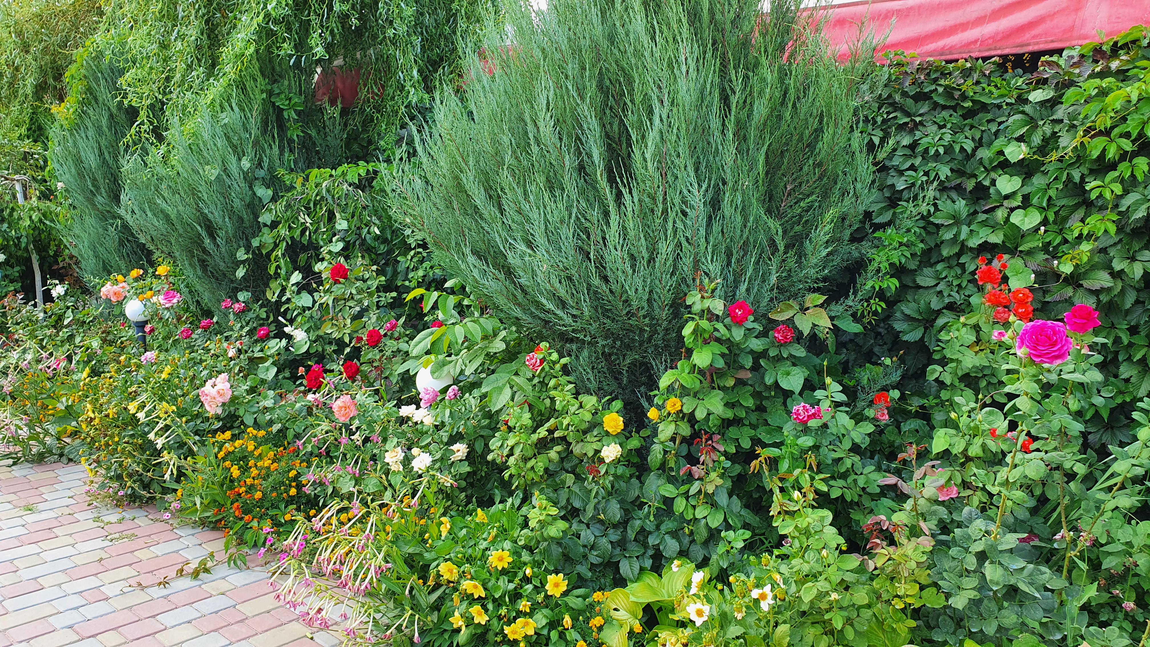 Фото Манака