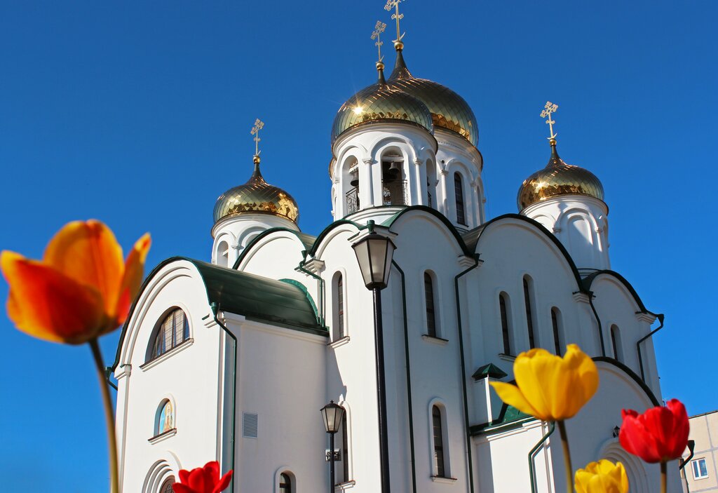 Iglesia ortodoxa Церковь святителя Тихона, патриарха Всероссийского, , foto